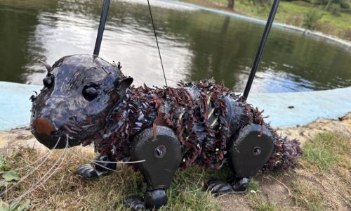 Oscar the Otter stands on a grassy verge, looking forwards.